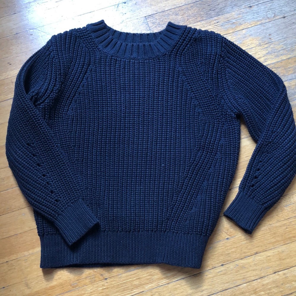 Everlane chunky knit crew neck sweater